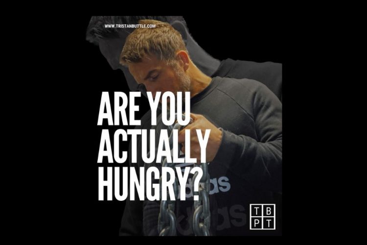 are you actually hungry?