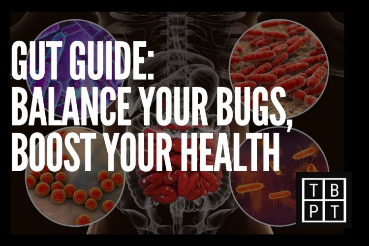 gut health